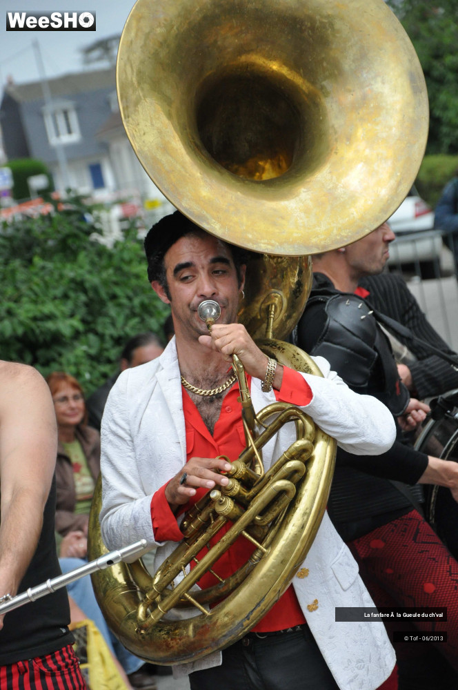 48/56 photos du spectacle La fanfare à la Gueule du ch'val